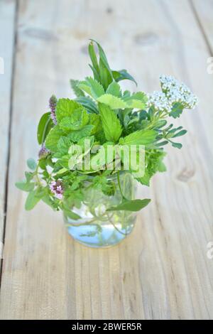 Erbe verdi fresche nel bicchiere su tavolo di legno Foto Stock