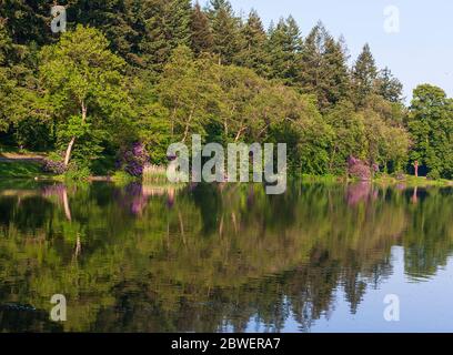 Mattina a piedi intorno Warminster-Shearwater Foto Stock