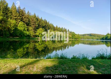 Mattina a piedi intorno Warminster-Shearwater Foto Stock