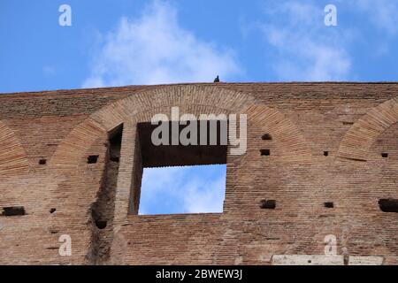 Il Colosseo a Roma Foto Stock