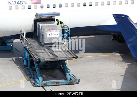 I dispositivi di carico unitario vengono caricati nelle linee Delta Air Boeing 767 dell'aeroporto Schiphol di Amsterdam. Foto Stock