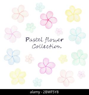 semplice collezione di fiori pastello, fiori colorati e felici in acquerello illustrazione isolato su bianco Foto Stock