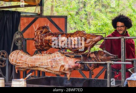 Nuembrecht, Germania - 01 maggio 2016: Suini in una rotisserie sul mercato medievale di Nuembrecht. Foto Stock