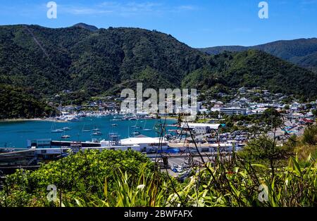 Picton Harbour, Marlborough Sounds, South Island, Nuova Zelanda, Oceania. Foto Stock