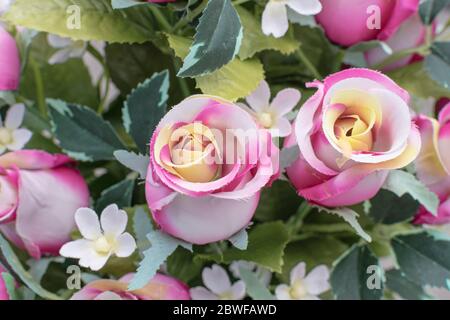 False rose fatte di tessuti duri, i fiori sono influenzati dal tempo Foto Stock