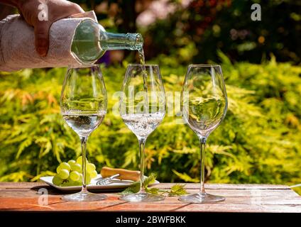 Degustazione di vini bianchi sulla terrazza dell'azienda vinicola, versamento di vino secco freddo in bicchieri all'aperto in giornata di sole Foto Stock