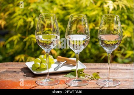 Degustazione di vini bianchi sulla terrazza dell'azienda vinicola, versamento di vino secco freddo in bicchieri all'aperto in giornata di sole Foto Stock