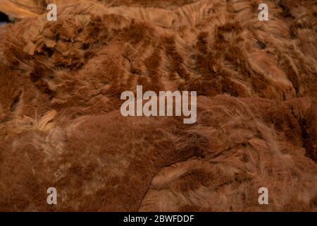 Coperta di pile di alpaca marrone al momento del taglio Foto Stock