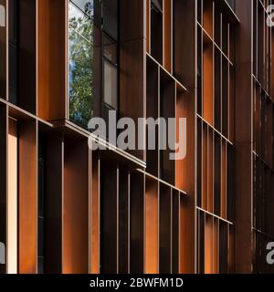 Particolare del rivestimento in bronzo. Beecroft Building, Oxford, Regno Unito. Architetto: Hawkins Brown Architects LLP, 2018. Foto Stock