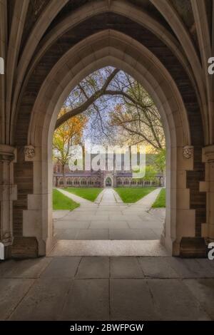 Princeton Rockefeller College - una vista sullo stile architettonico Collegiata Gotica del Rockefeller College. Foto Stock