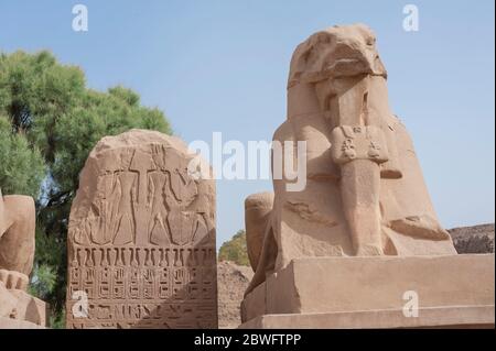 Antica statua egiziana con testa di ram in pietra sfinge e tavoletta al tempio Karnak a Luxor Foto Stock