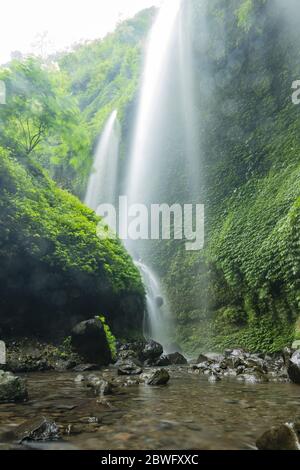 Vista mozzafiato delle cascate di Madikaripura durante l'alba. Madakaripura cascata o aria Terjun Madakaripura, Indonesia. Foto Stock