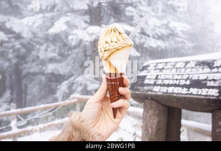 Shin-Hotaka Ropeway ha uno dei più grandi guadagni elettrici nel paese, come si sale oltre 1000 metri sul lato della catena montuosa Hotake, excel Foto Stock