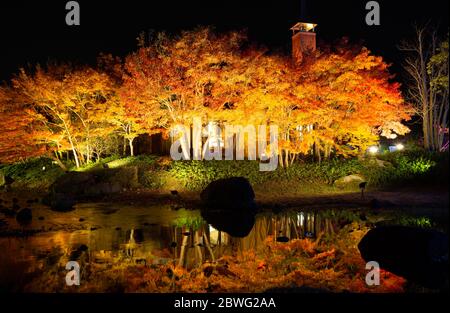 Nabana no Sato è un giardino botanico/parco a tema nella città di Kuwana, offre l'illuminazione invernale più attraente e più grande, brillante installazione di luce Foto Stock