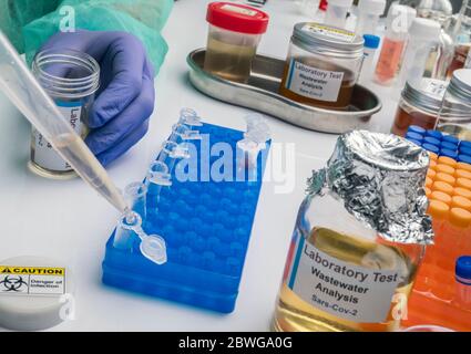 Analisi scientifica del campione di acque reflue in laboratorio, indagine di possibile contaminazione da parte di Sars-Cov-2 nell'uomo, immagine concettuale Foto Stock