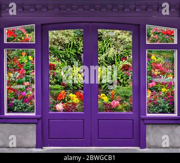 Porta e finestra del negozio di fiori viola con fiori colorati, Canada Foto Stock