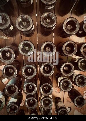 Le bottiglie di champagne capovolte sono attaccate sulla mensola di legno Foto Stock