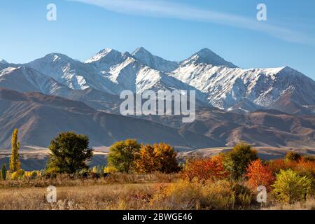 Colori autunnali a Bishkek, Kirghizistan con le montagne Tien Shan sullo sfondo, in autunno Foto Stock