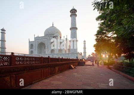 Una vista del Taj Mahal, Agra, all'alba, con un sentiero e gli alberi Foto Stock