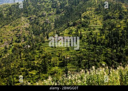 Hidden vallery, Elum Mountain trekking, Marghuzar, Swat, Provincia di Khyber Pakhtunkhwa, Pakistan, Asia meridionale, Asia Foto Stock