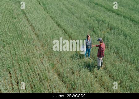 Banchiere e agricoltore che negoziano prestiti bancari per l'agricoltura in campo di grano verde, vista aerea dal drone pov Foto Stock