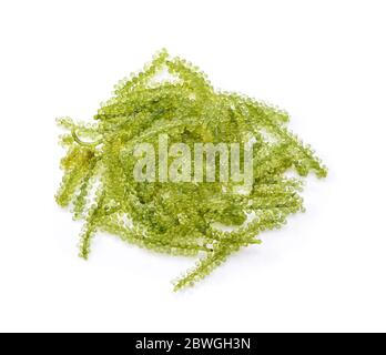 Umi-budou, uva alghe o caviale verde isolato su sfondo bianco Foto Stock