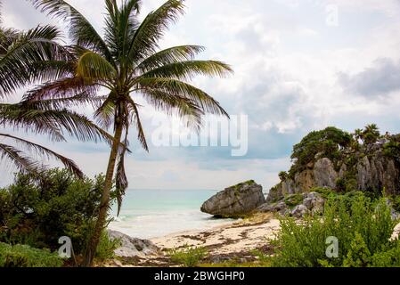 Acque cristalline turchesi su una spiaggia di sabbia messicana sotto le palme - attrazione turistica e destinazione di vacanza a Tulum, Messico, Mar dei Caraibi Foto Stock