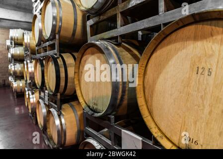 Botti di rovere per la fermentazione del vino in cantina. Foto Stock