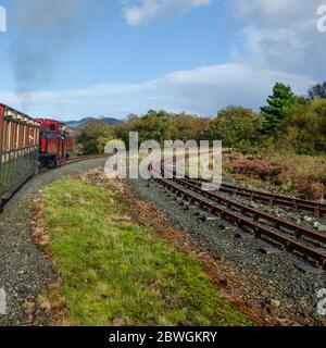 Ffestiniog, Galles del Nord, Regno Unito: 14 settembre 2017: Un treno a vapore a scartamento ridotto trasporta carrozze turistiche attraverso la campagna sulla Ferrovia Ffestiniog Foto Stock