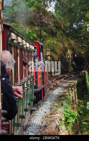 Ffestiniog, Galles del Nord, Regno Unito: 14 settembre 2017: Un treno a vapore a scartamento ridotto trasporta carrozze turistiche attraverso la campagna sulla Ferrovia Ffestiniog Foto Stock