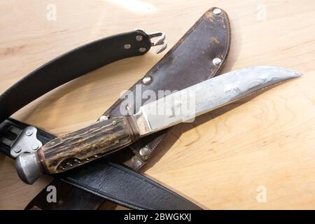 Still Life of vintage Hunting Knife, USA Foto Stock