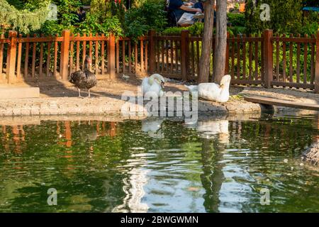 Ankara/Turchia - Maggio 13 2020: Il Parco di Kugulu e' un luogo popolare per godersi la giornata Foto Stock