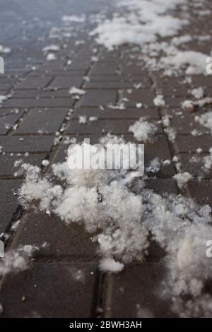 Lanugine di pioppo su marciapiede di strada in una grande città. Il fluff di pioppo non è da biasimare per le allergie, l'estate comincia con un floff di pioppo. Foto Stock