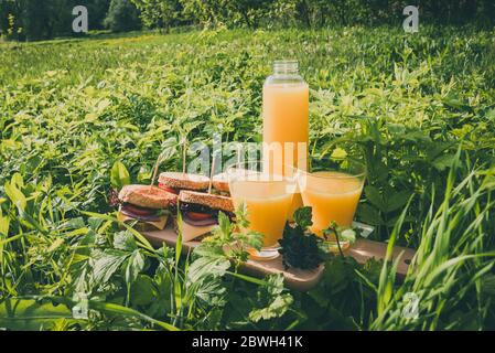 Picnic estivo con panini e bicchieri con succo d'arancia su un'erba verde in giornata di sole. Insalata di foglie, pomodori, cipolla rossa e panini al formaggio Foto Stock