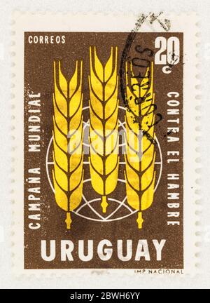 SEATTLE WASHINGTON - 30 maggio 2020: Campagna globale sulla libertà dalla fame in Uruguay Stamp. Scott 701 Foto Stock