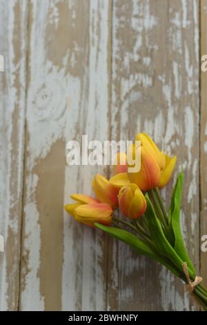 Tulipani falsi su legno in difficoltà Foto Stock