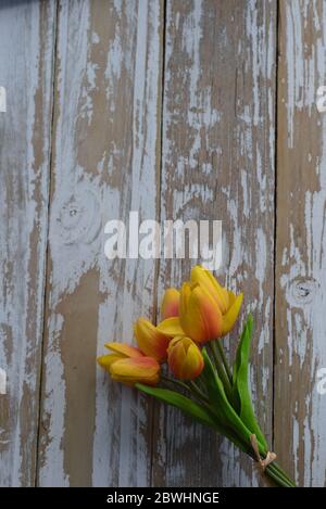 Tulipani falsi su legno in difficoltà Foto Stock