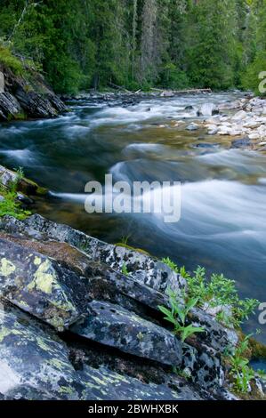 Meadow Creek vicino alla stazione della Guardia di Meadow Creek nella Nez Perce/Clearwater National Forest ID Foto Stock