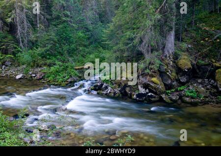 Meadow Creek vicino alla stazione della Guardia di Meadow Creek nella Nez Perce National Forest ID Foto Stock