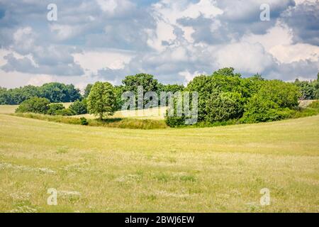Paesaggio di prati e prati. Paesaggio verde natura Foto Stock
