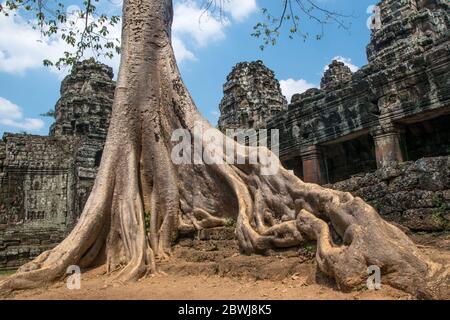 Rovine del vecchio tempio vicino a Angkor Vat, Siem Reap Cambogia Foto Stock