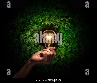 mano che tiene una lampadina con foglie verdi fresche all'interno su sfondo naturale. Il concetto consente di risparmiare energia. Foto Stock