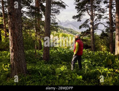 Il turista bearded sta bevendo il caffè caldo nella foresta lussureggiante alle montagne Foto Stock