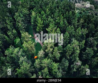 Vista aerea della tenda arancione nella foresta delle montagne. Foto scattata con il drone Foto Stock
