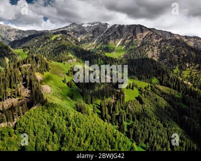 Vista aerea della pineta in splendide montagne durante il giorno di sole. Foto scattata con il drone Foto Stock