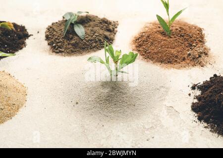 Tipi diversi di terreno con piante verdi su sfondo chiaro Foto Stock