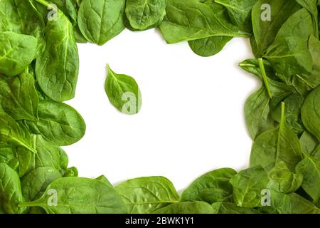 Bordo del telaio da foglie di spinaci organici fresche con spazio di copia, una foglia al centro, isolata su uno sfondo bianco, vista dall'alto ad angolo alto Foto Stock