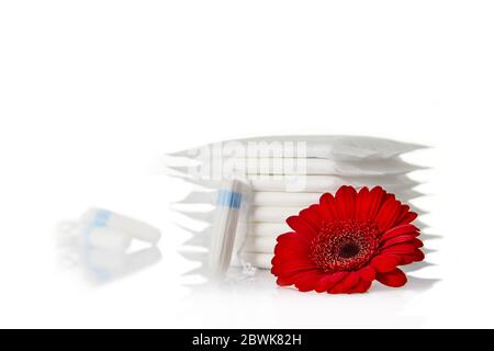 tamponi igienici mestruali e tamponi in cotone su sfondo bianco. Prodotti per l'igiene femminile e fiori rossi. Spazio per la copia. Foto Stock