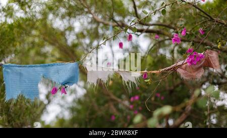 Bandiere di preghiera tibetane su una corda arruggenti e intemperate. Alberi sullo sfondo. Al tempio di Nantputuo. Foto Stock