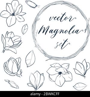 Set di magnolia isolata. Elementi vettoriali disegnati a mano in stile line art. Magnolia fiori, foglie, gemme e corona. Illustrazione Vettoriale